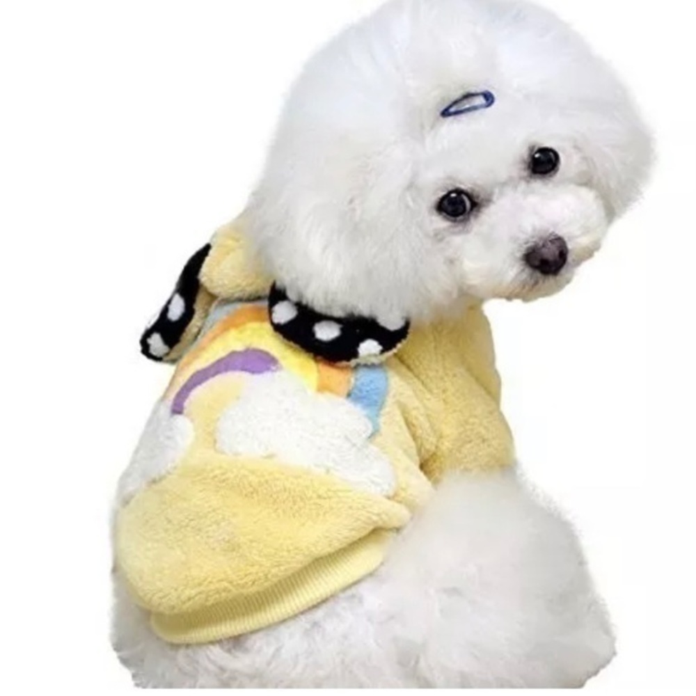 Rainbow Bear Dog Hoodie
